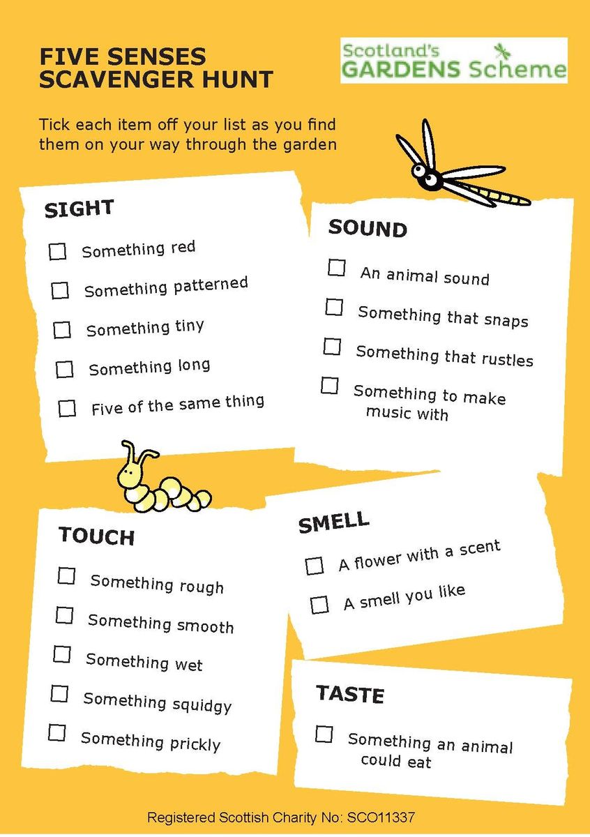 Five Senses Scavenger Hunt Free Printable