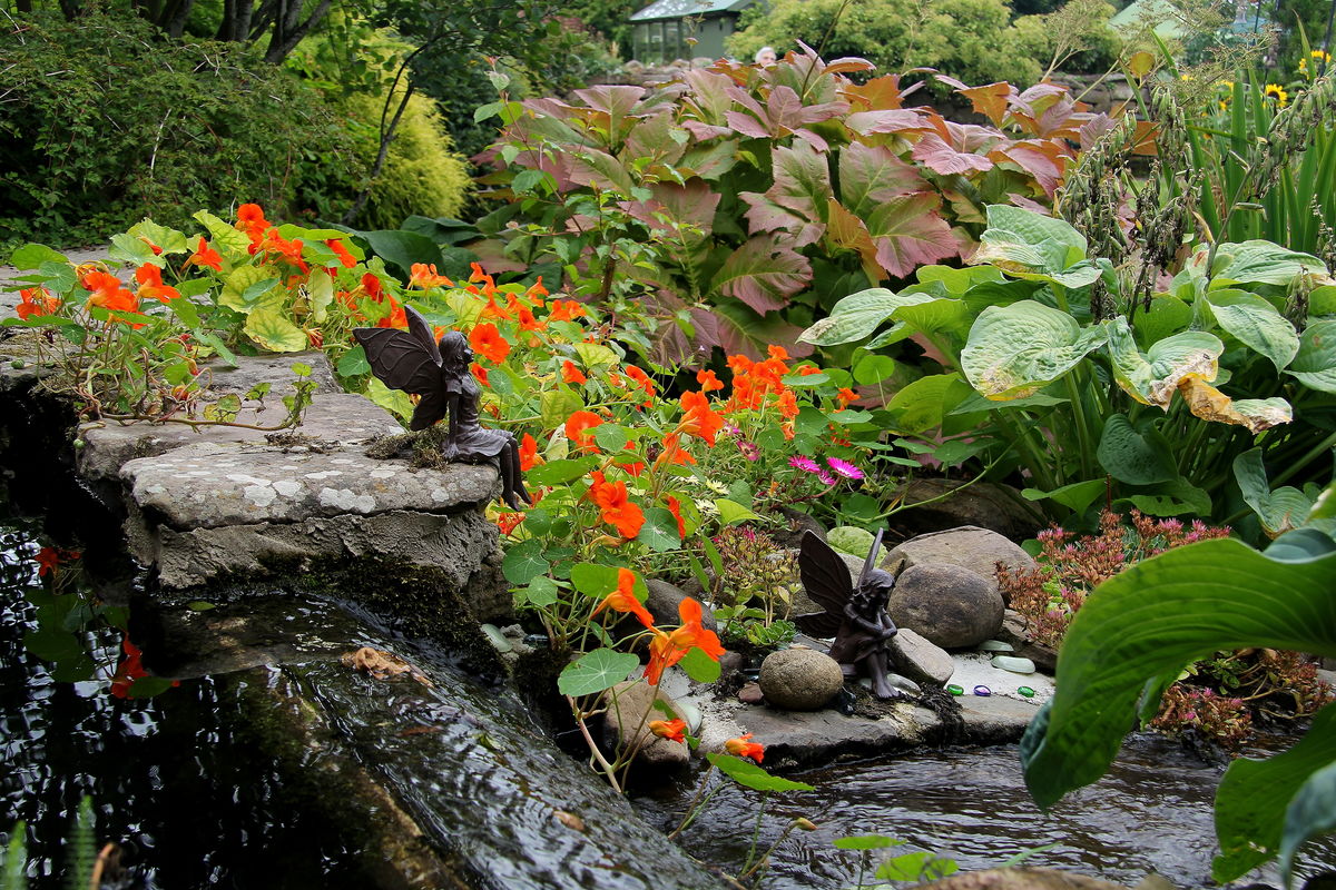 Old Farm Cottage, Pond and Waterfall