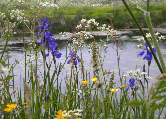 Bruckhills Croft ©Helen Rushton