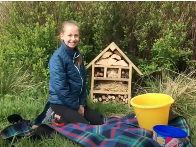 Making a Bug Hotel Children's Activity