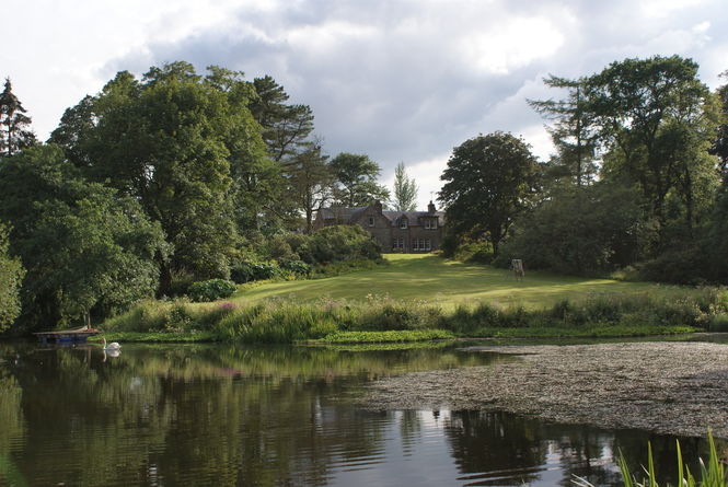 Meadowhead