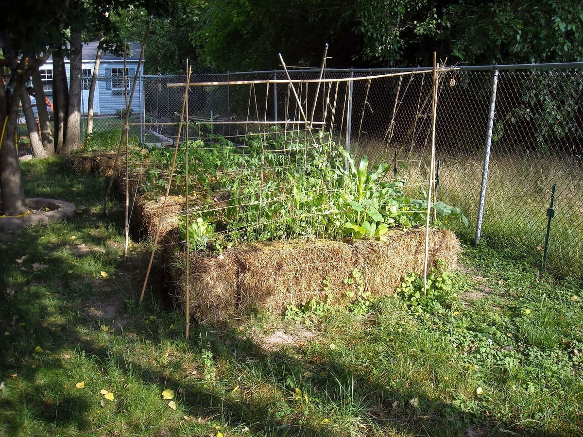 Early straw bale garden