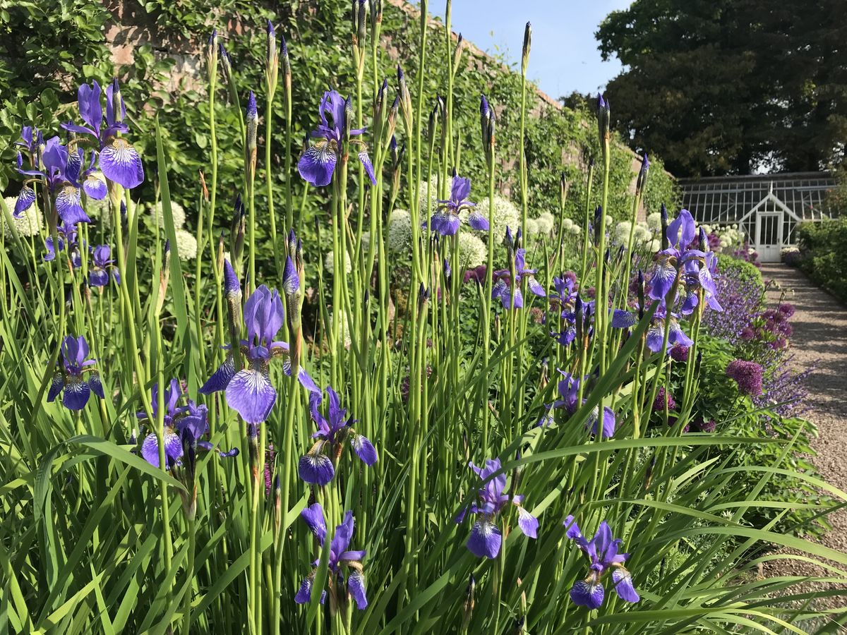 Gardyne Castle