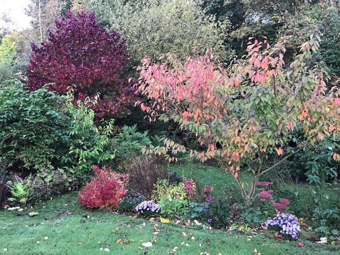Woodfall Gardens