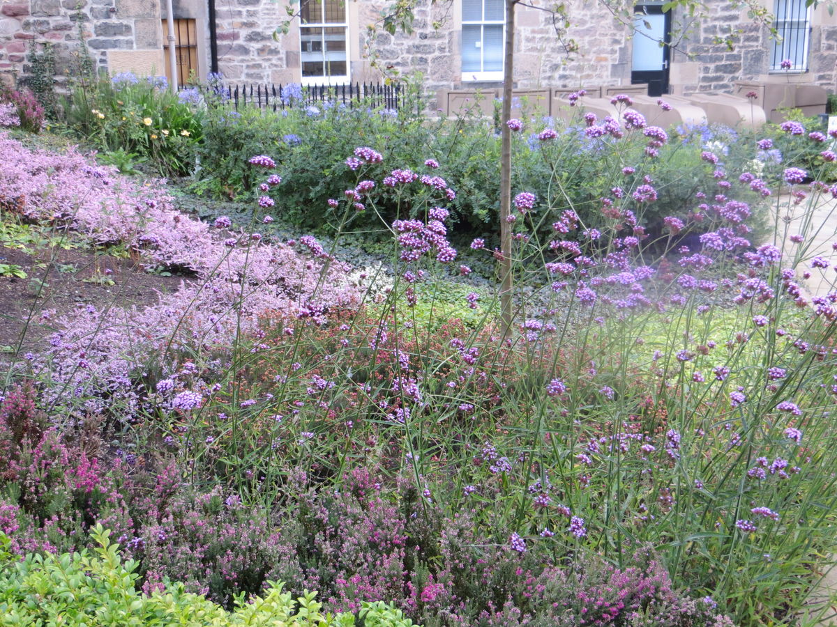 The Archivists Garden