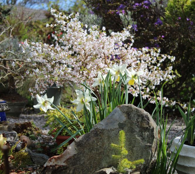 The Gardens of Kilmardinny Crescent