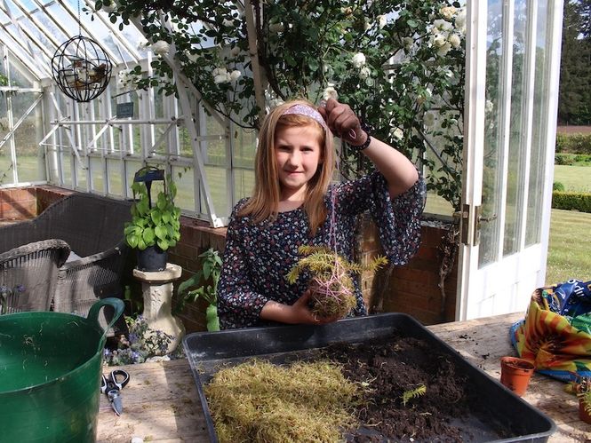 Making a Kokedama Children's Activity