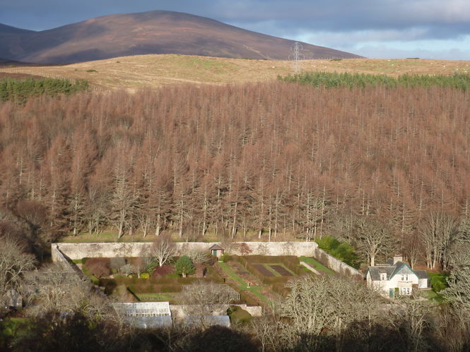 Langwell