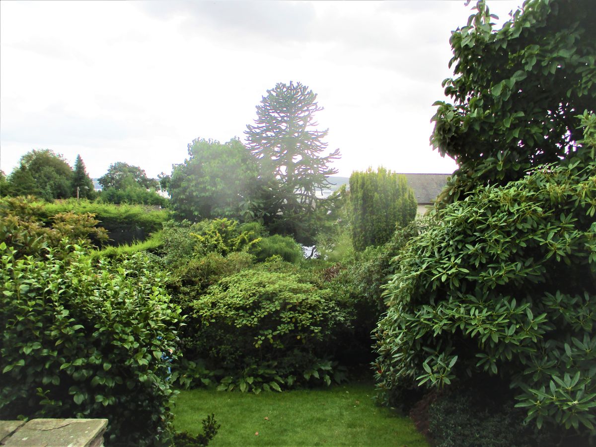 10 Menziehill Road