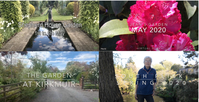 Create a Video Tour of your Garden