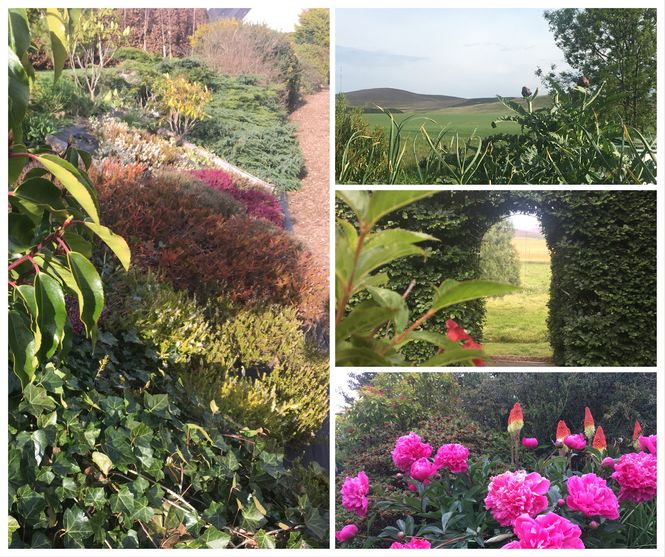 Glenogilvy Schoolhouse Garden
