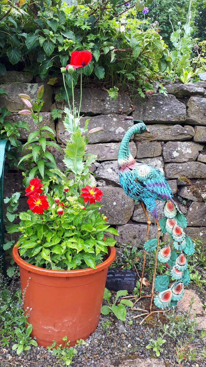 Old Farm Cottage, Summer Pot and Sculpture