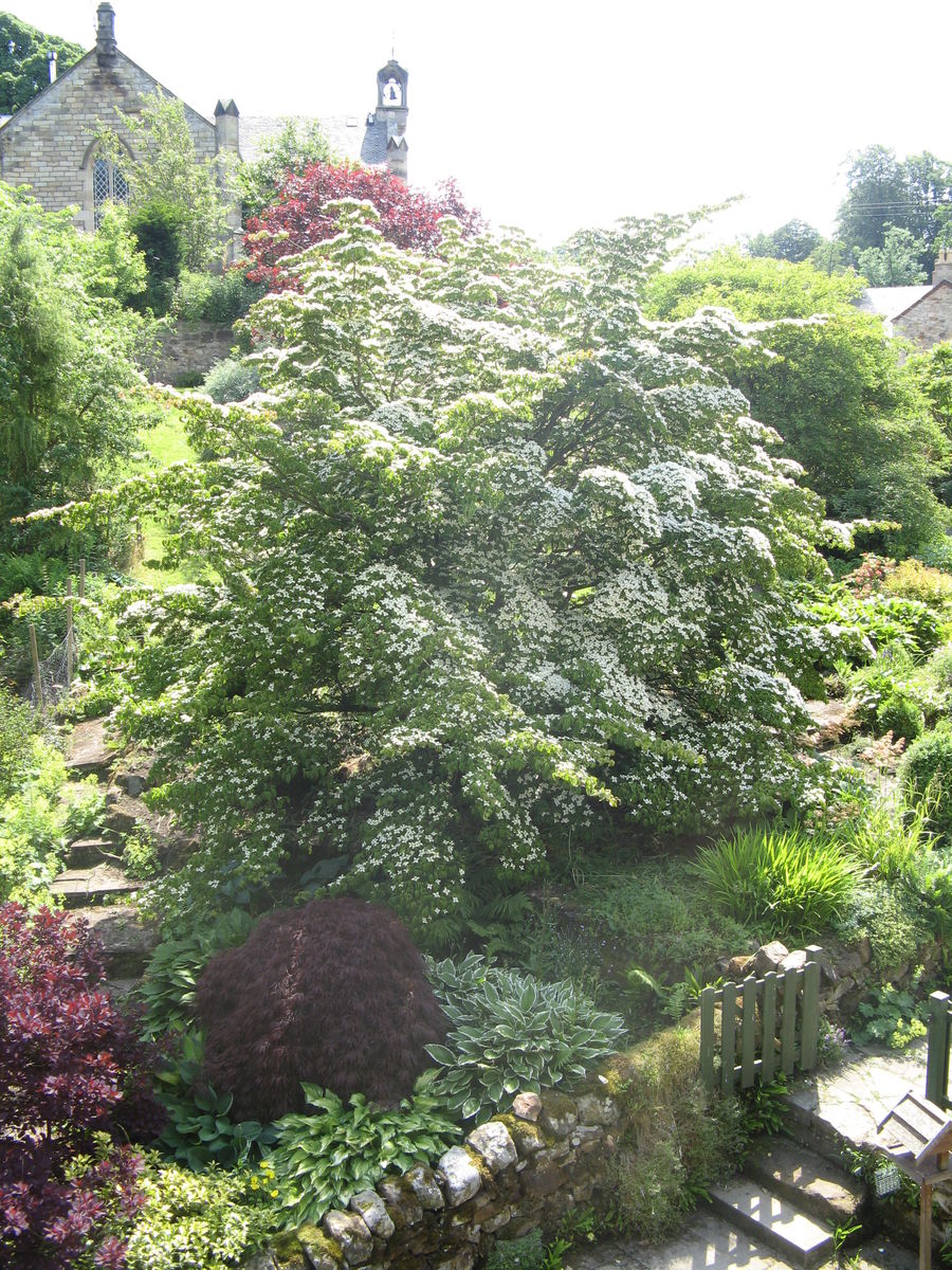 Temple Village Gardens