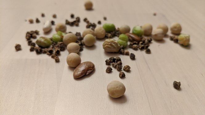 How To Save Seeds