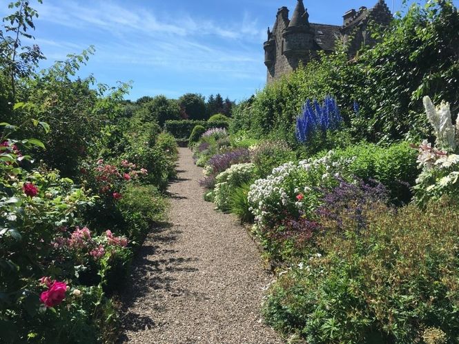 Gardyne Castle with June Roses