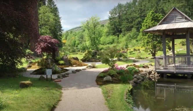 The Japanese Garden at Cowden Virtual Garden Visit