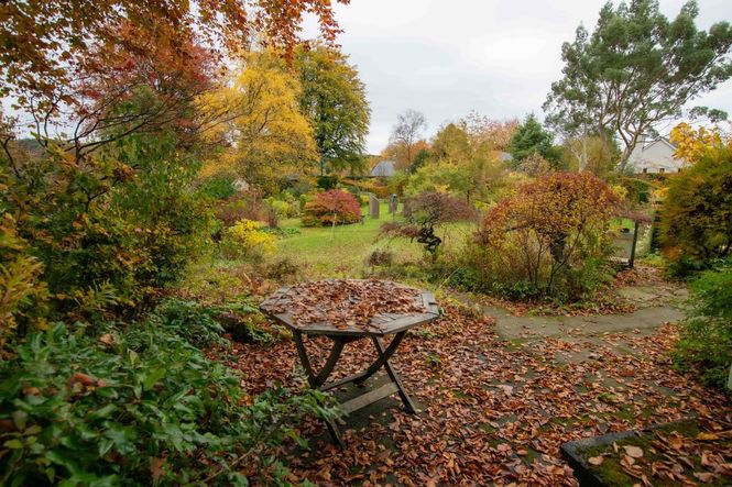 Hollytree Lodge