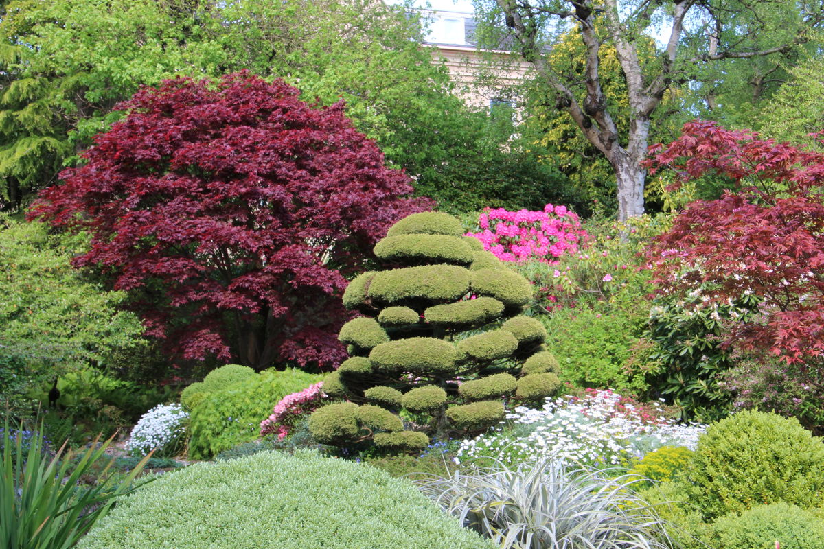 View of the rockery