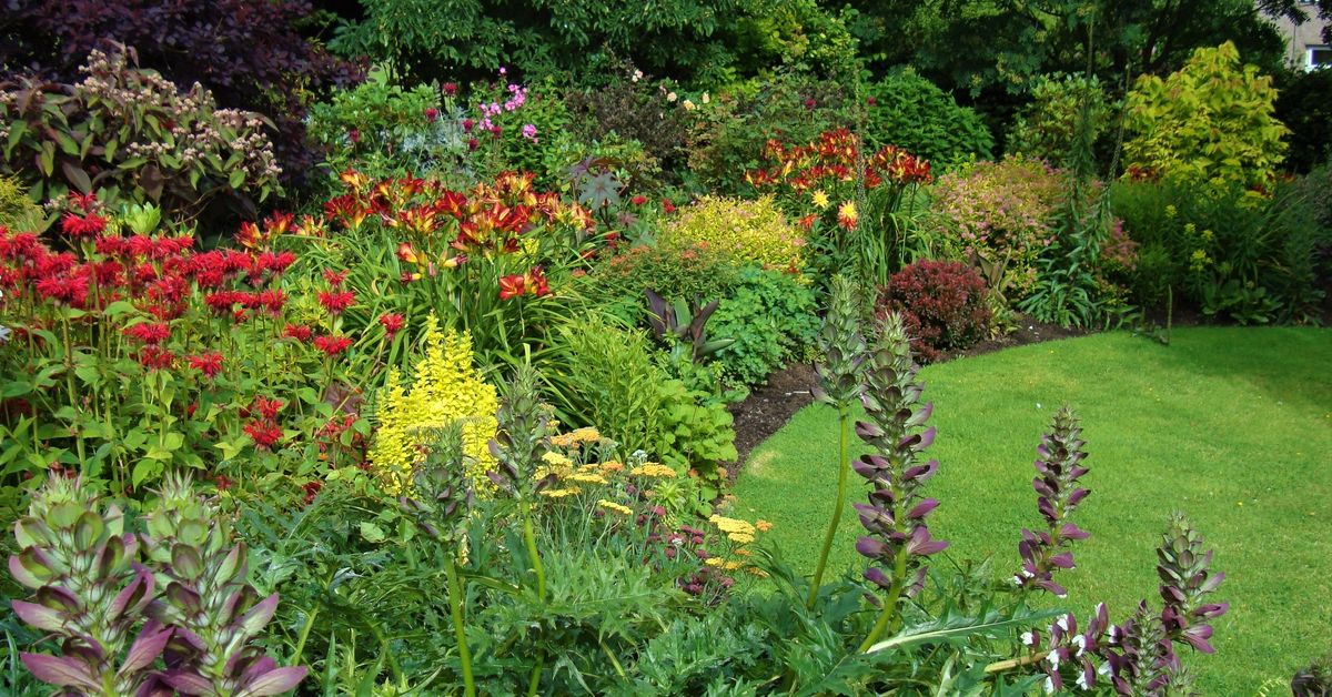 Willowhill Summer Border