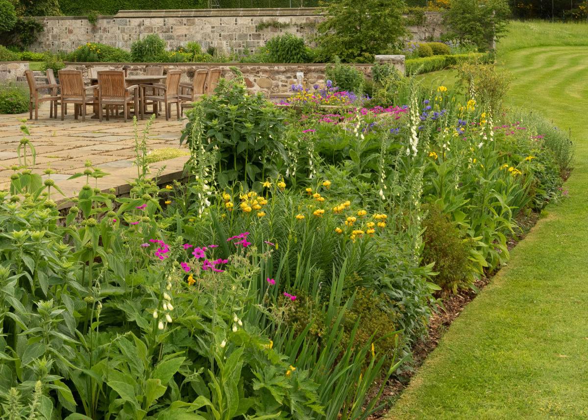 Altries - patio and herbaceous border