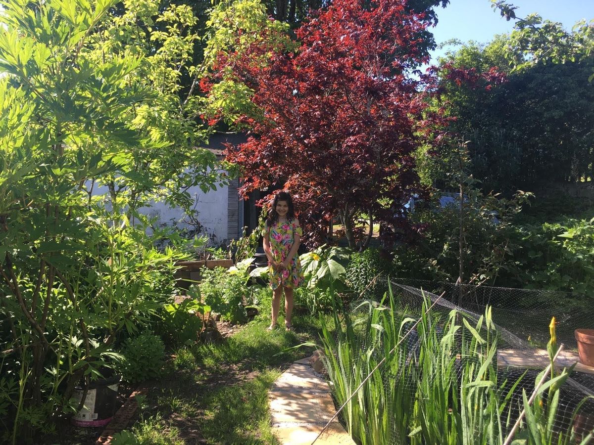 The Gardens of Milton of Campsie