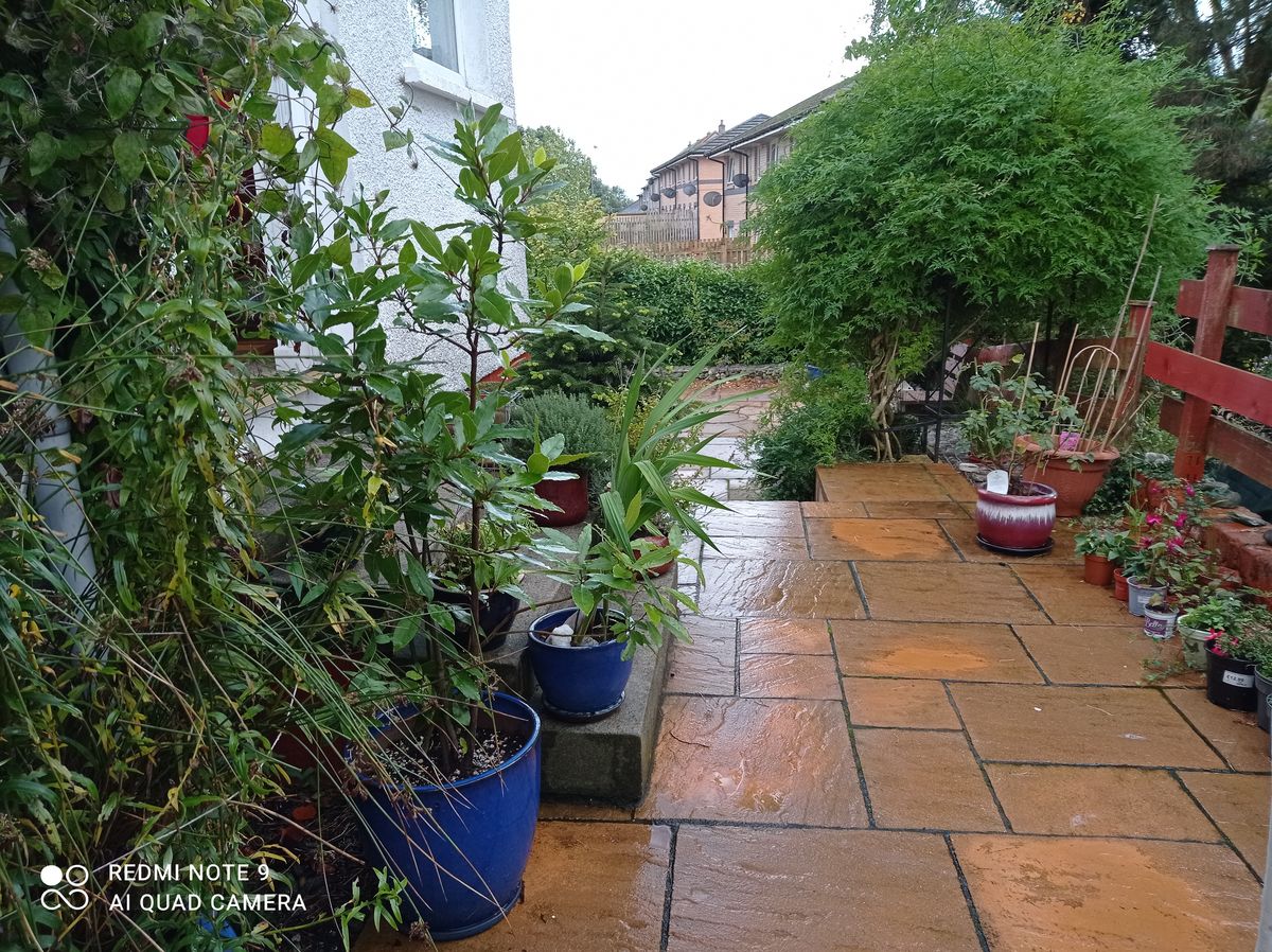 The Gardens of Milton of Campsie