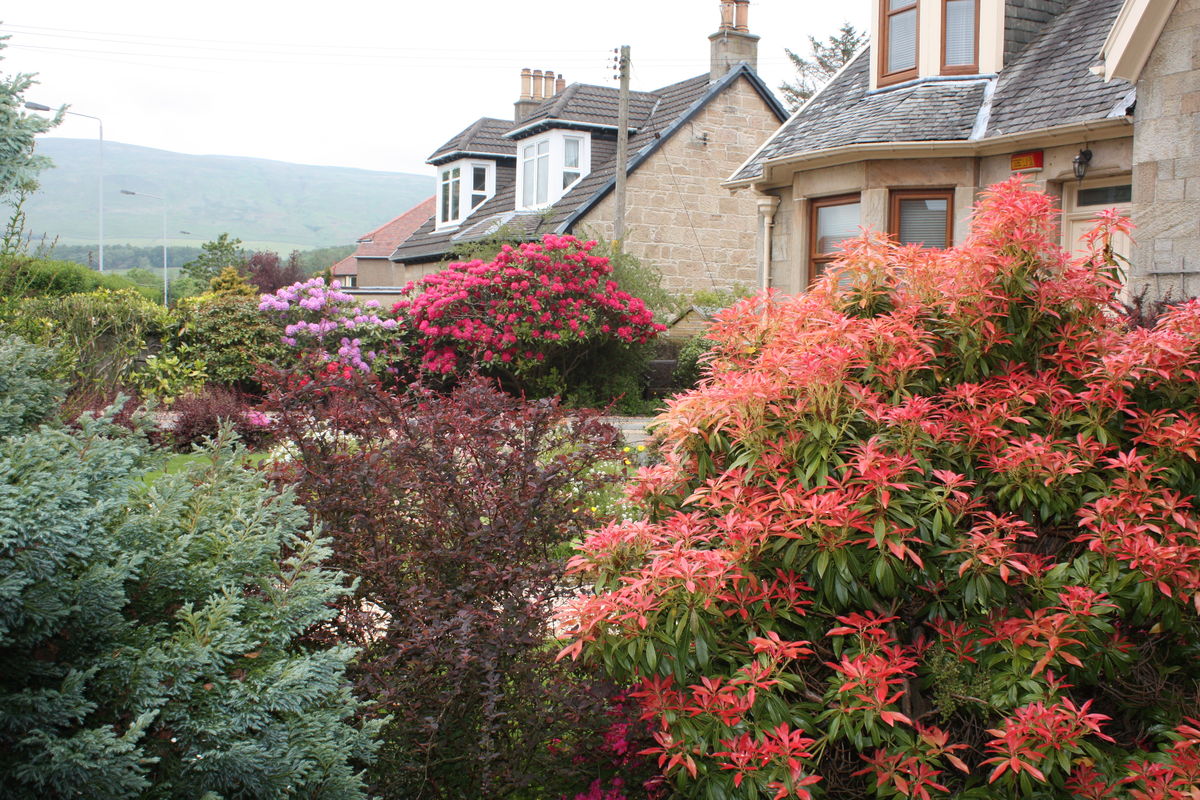 The Gardens of Milton of Campsie