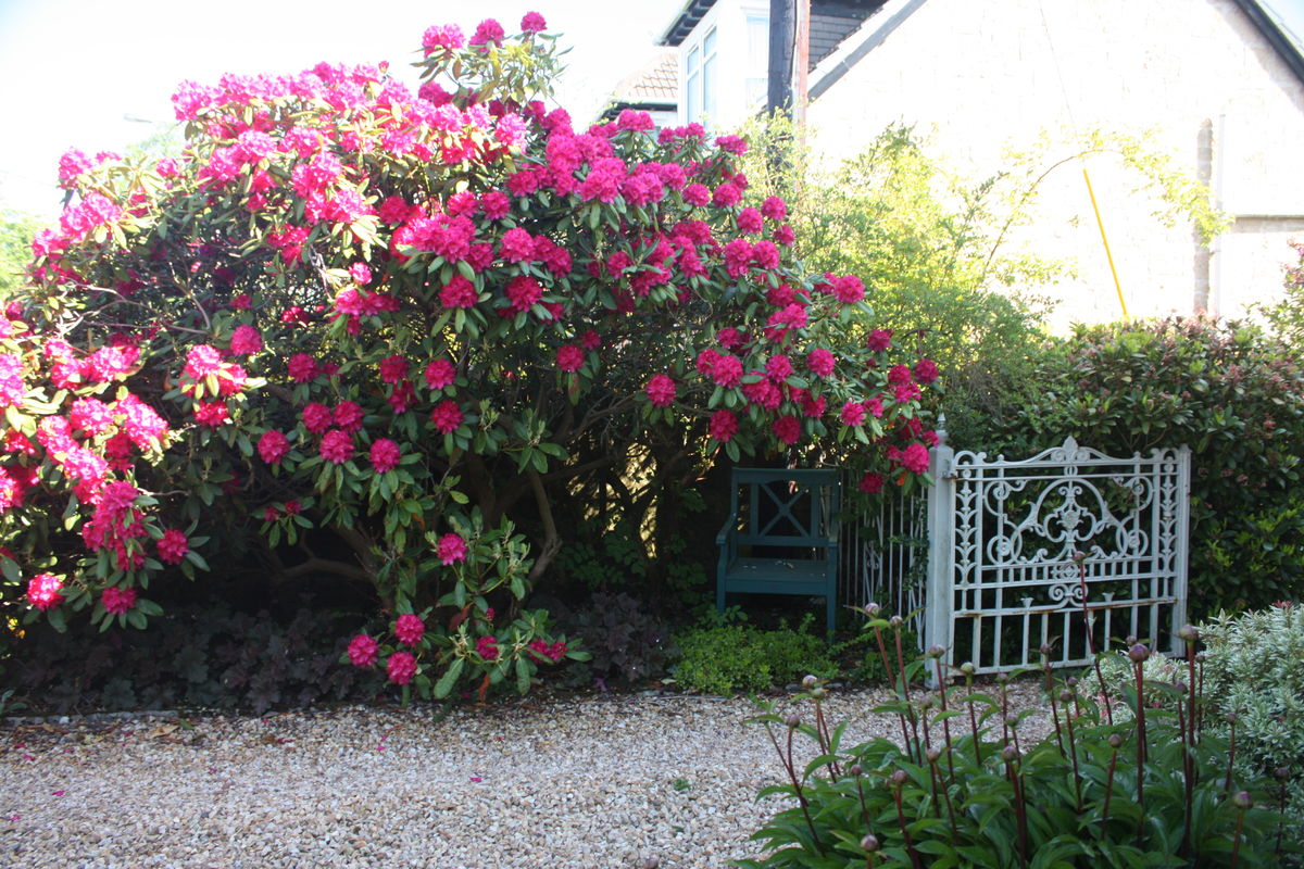 The Gardens of Milton of Campsie