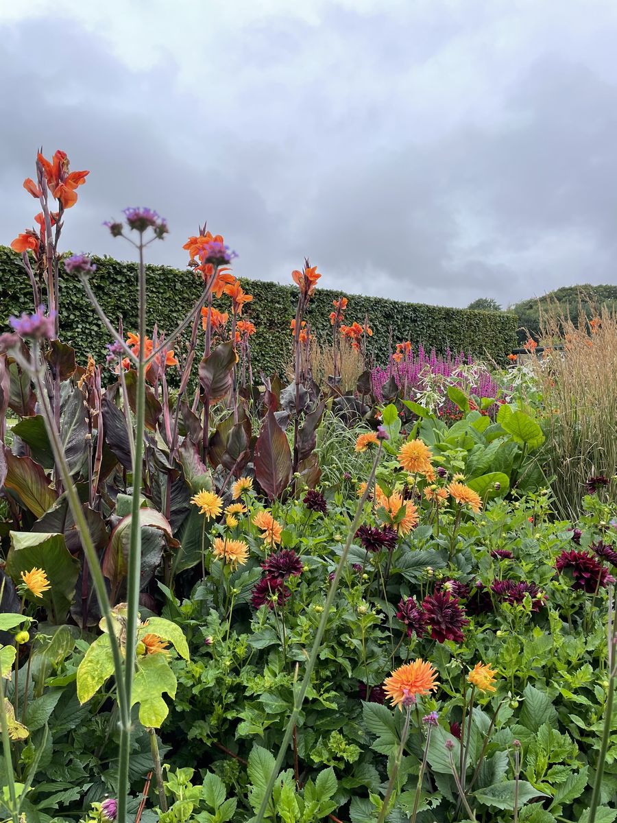 Whitburgh House Walled Garden