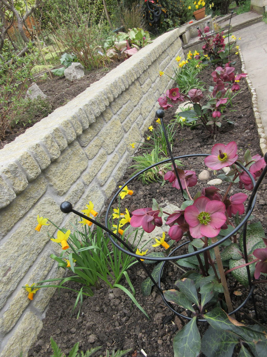 new wall and spring flower bed