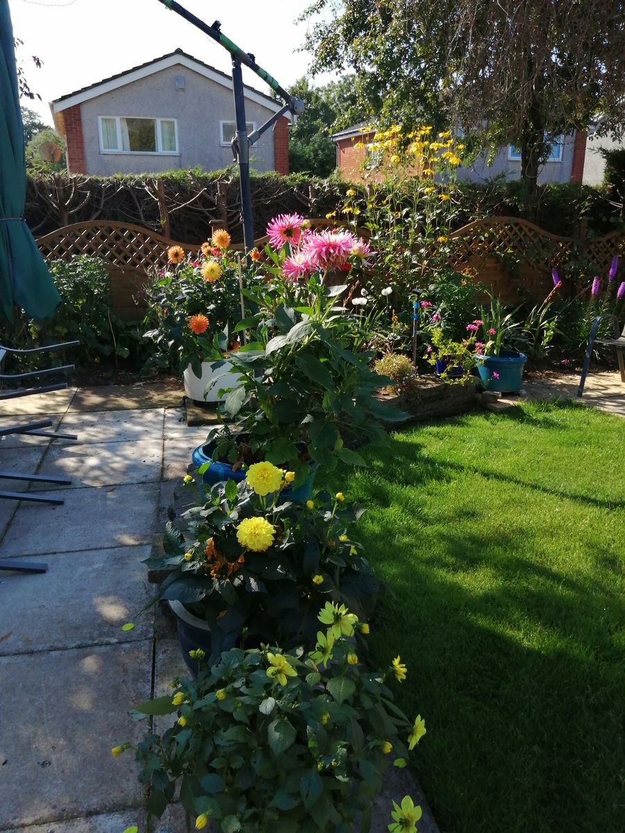 The Gardens of Milton of Campsie