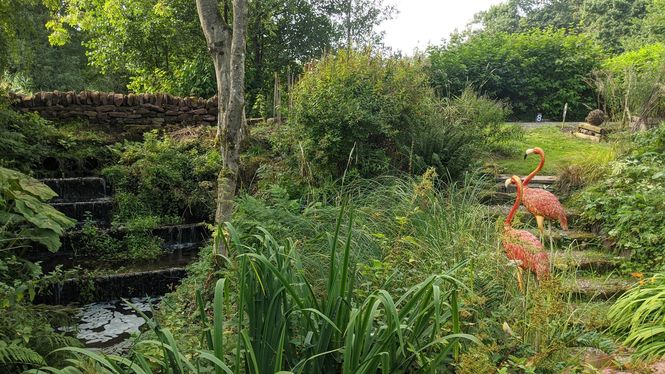 The Pond Garden