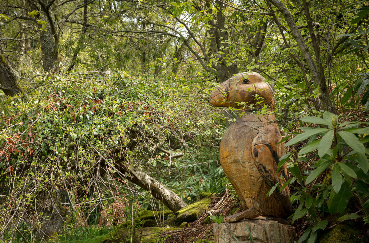 South Flisk woodland puffin sculpture