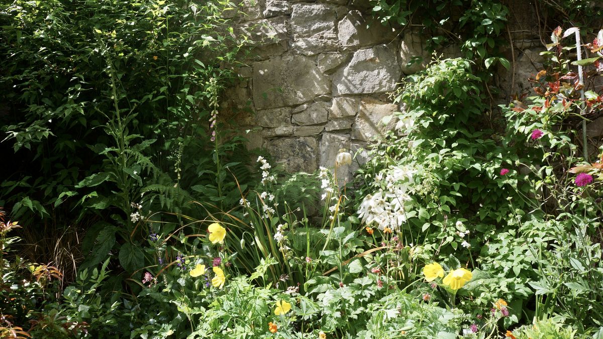 Walled courtyard garden