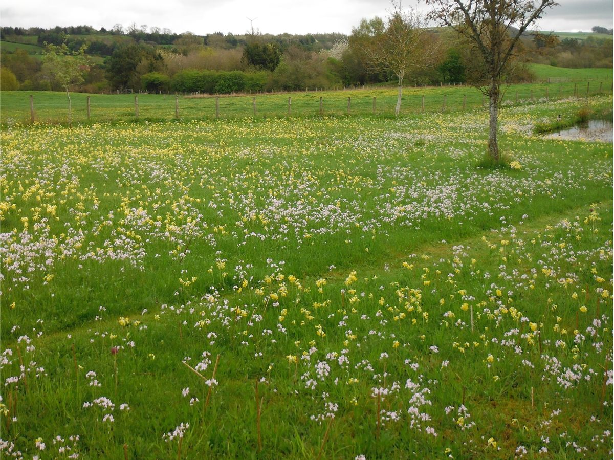 The Steading at Clunie