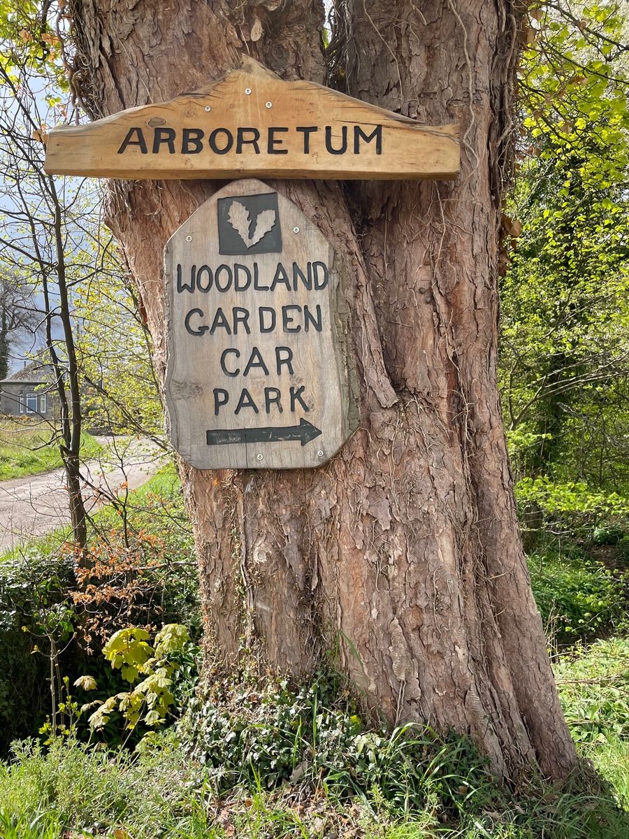 Burgie Arboretum