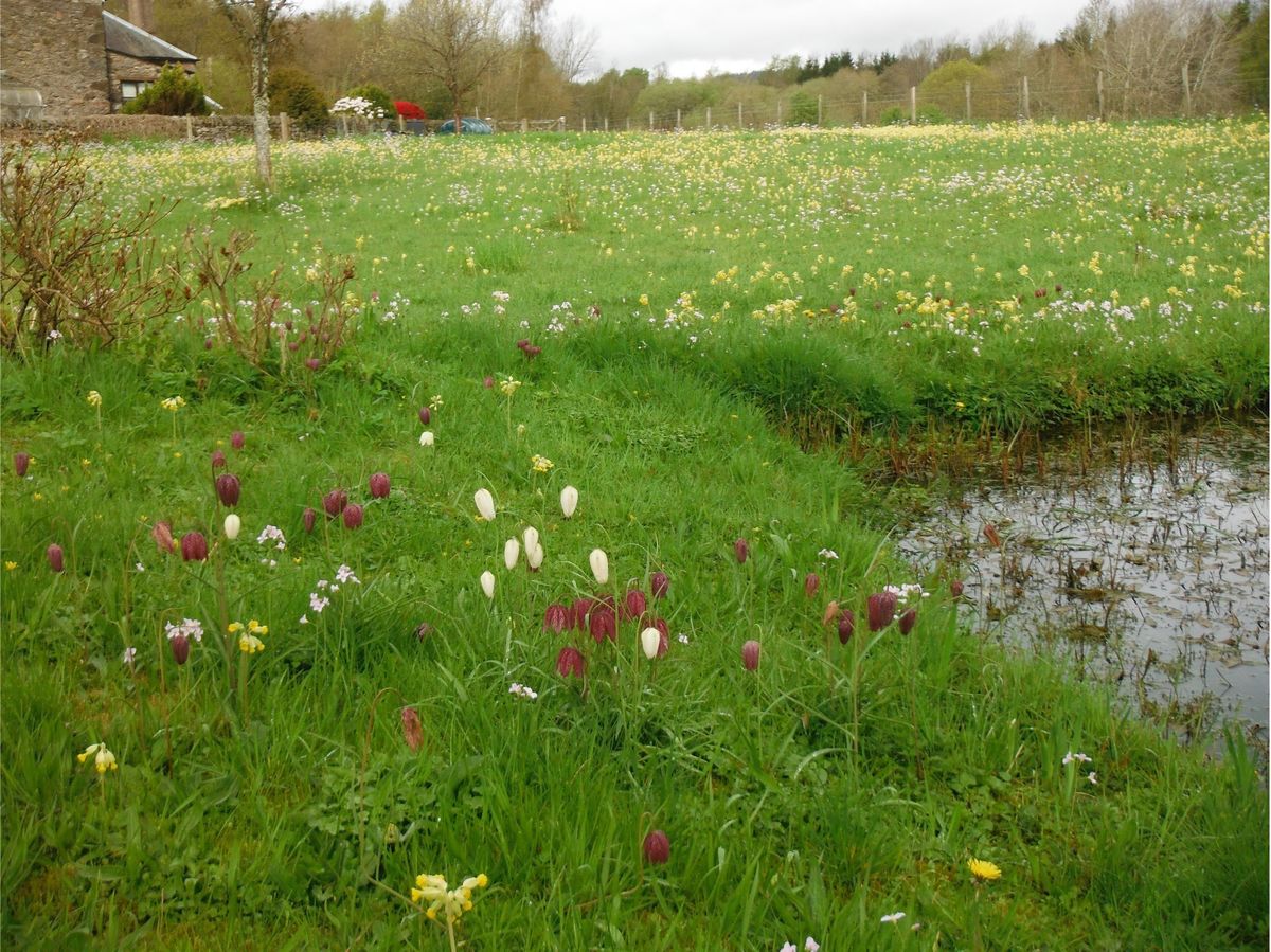 The Steading at Clunie