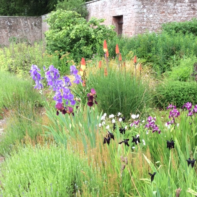 Balhary Walled Garden