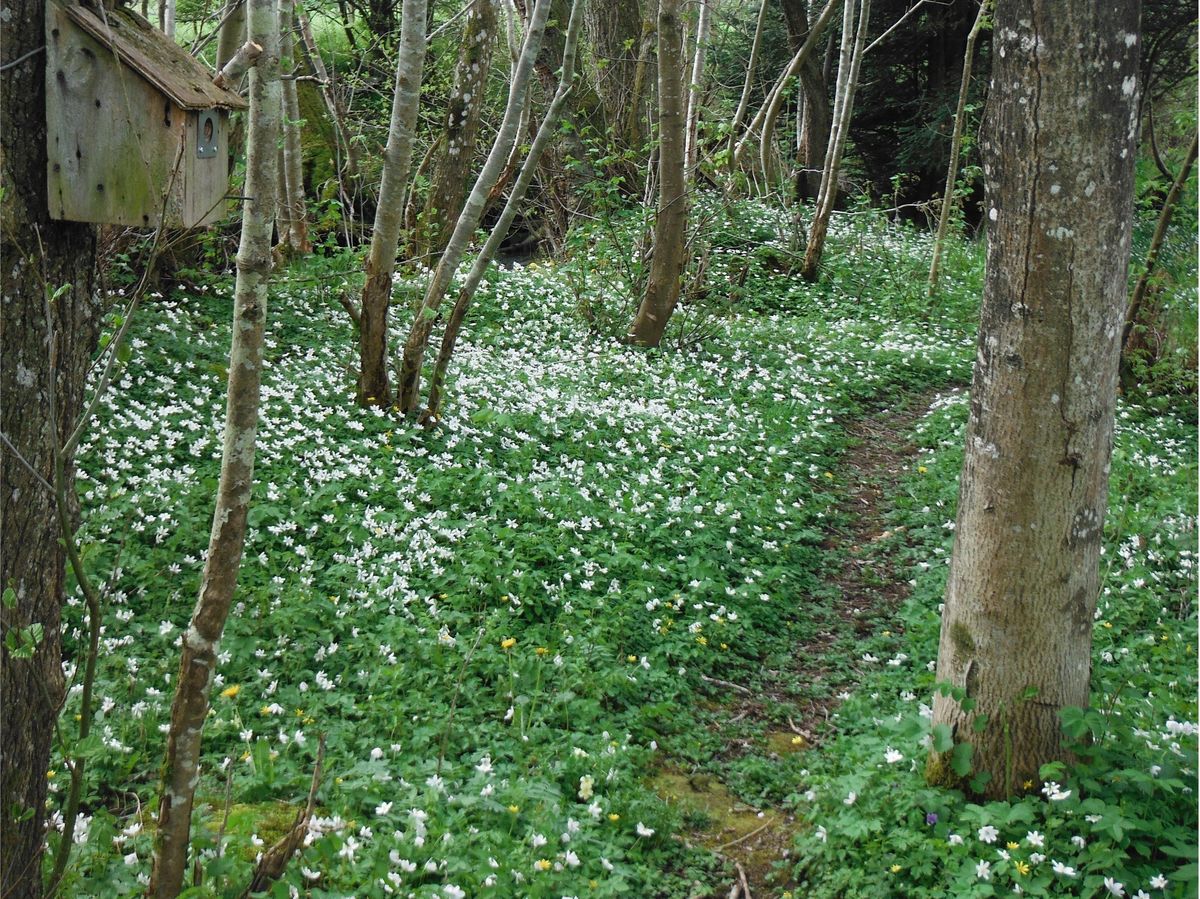 The Steading at Clunie