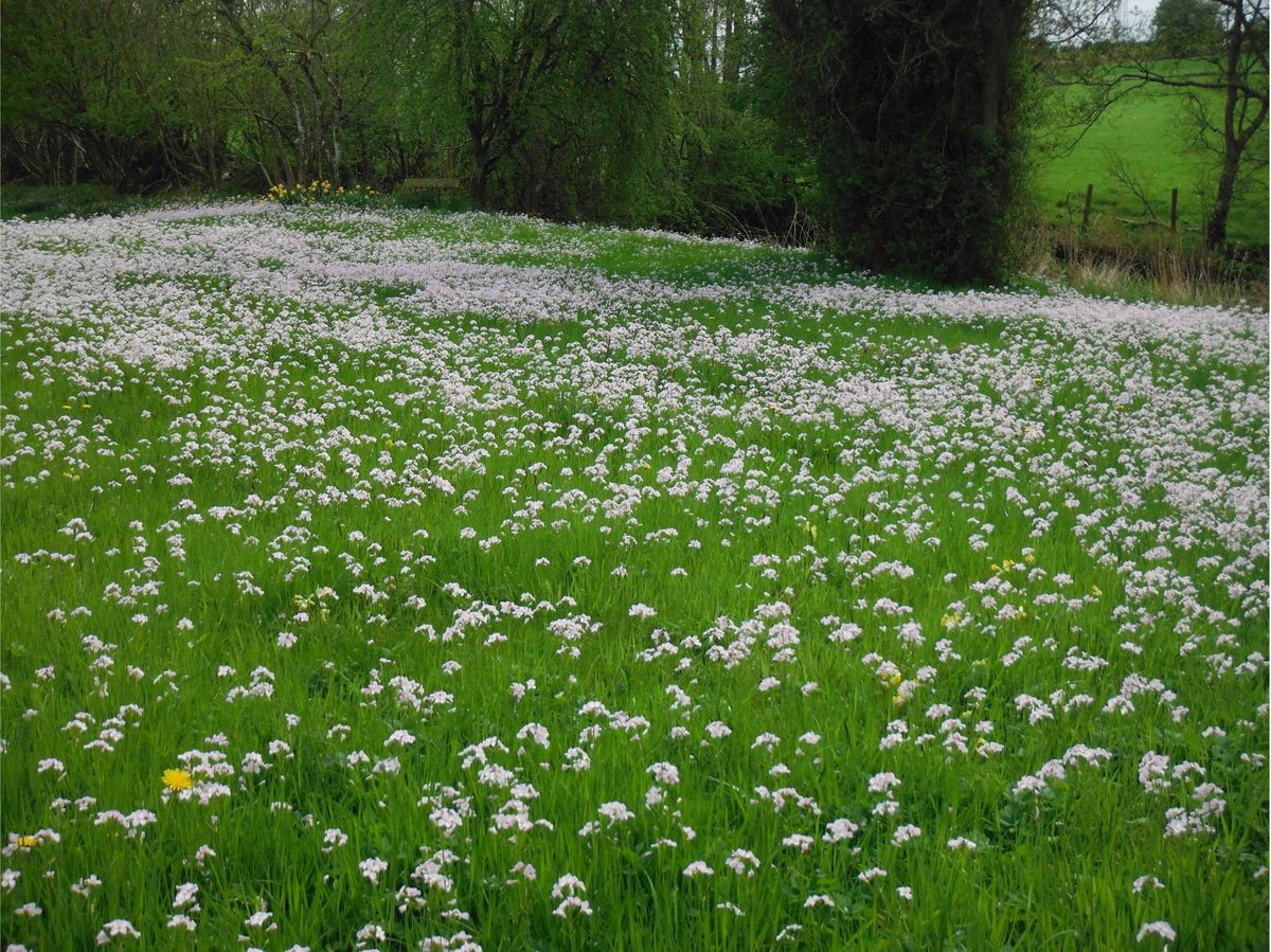 The Steading at Clunie