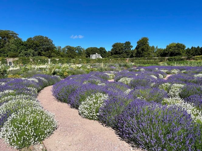 Gordon Castle Walled Garden