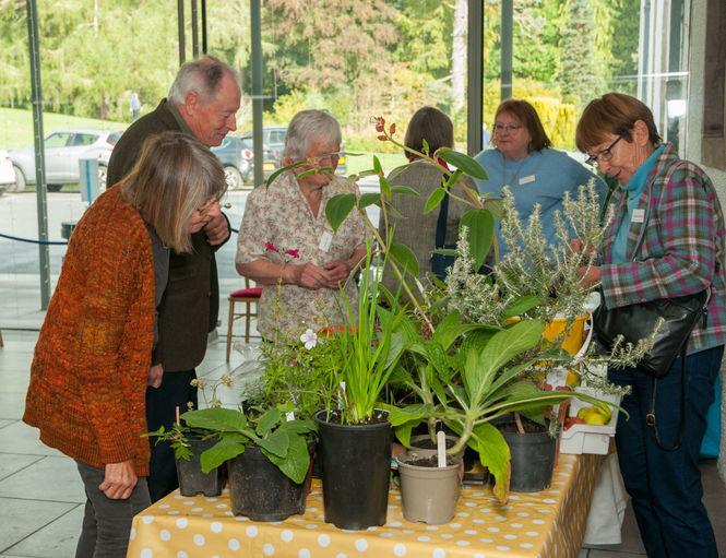 plant-stall-5.jpg ©Malcolm Ross