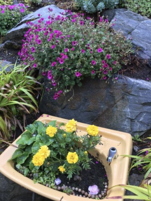 recycled-sink-highlands-garden.jpeg