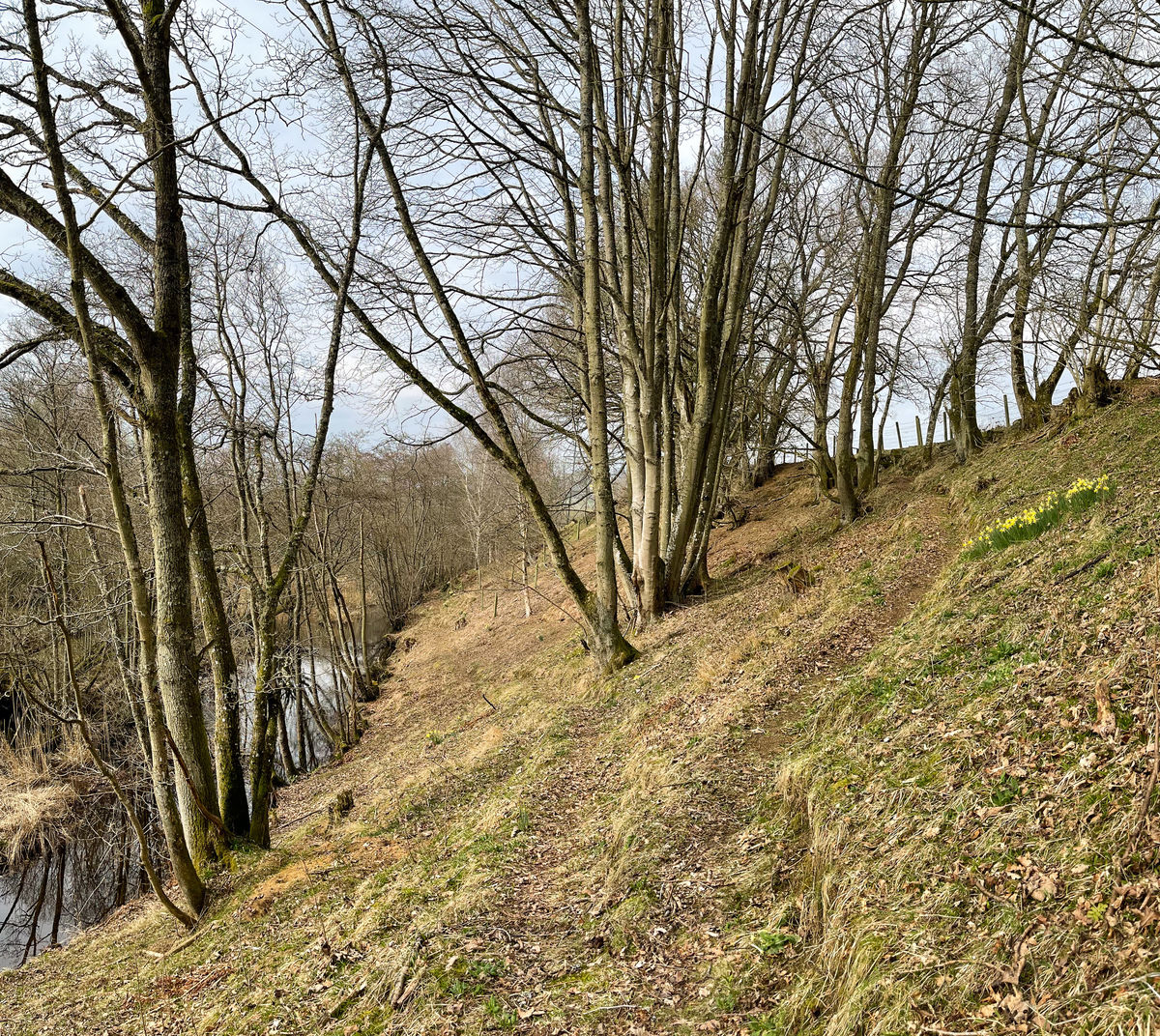 The Steading at Clunie, hillside path