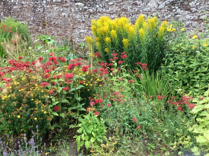 Balhary Walled Garden