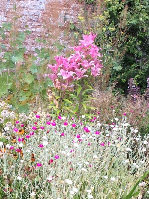 Balhary Walled Garden