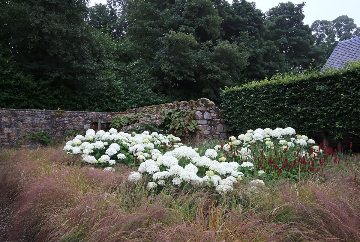 Whitburgh House Walled Garden