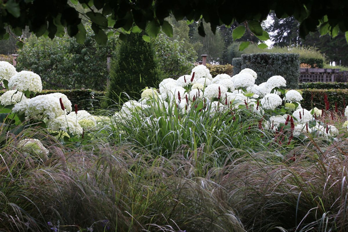 Whitburgh House Walled Garden