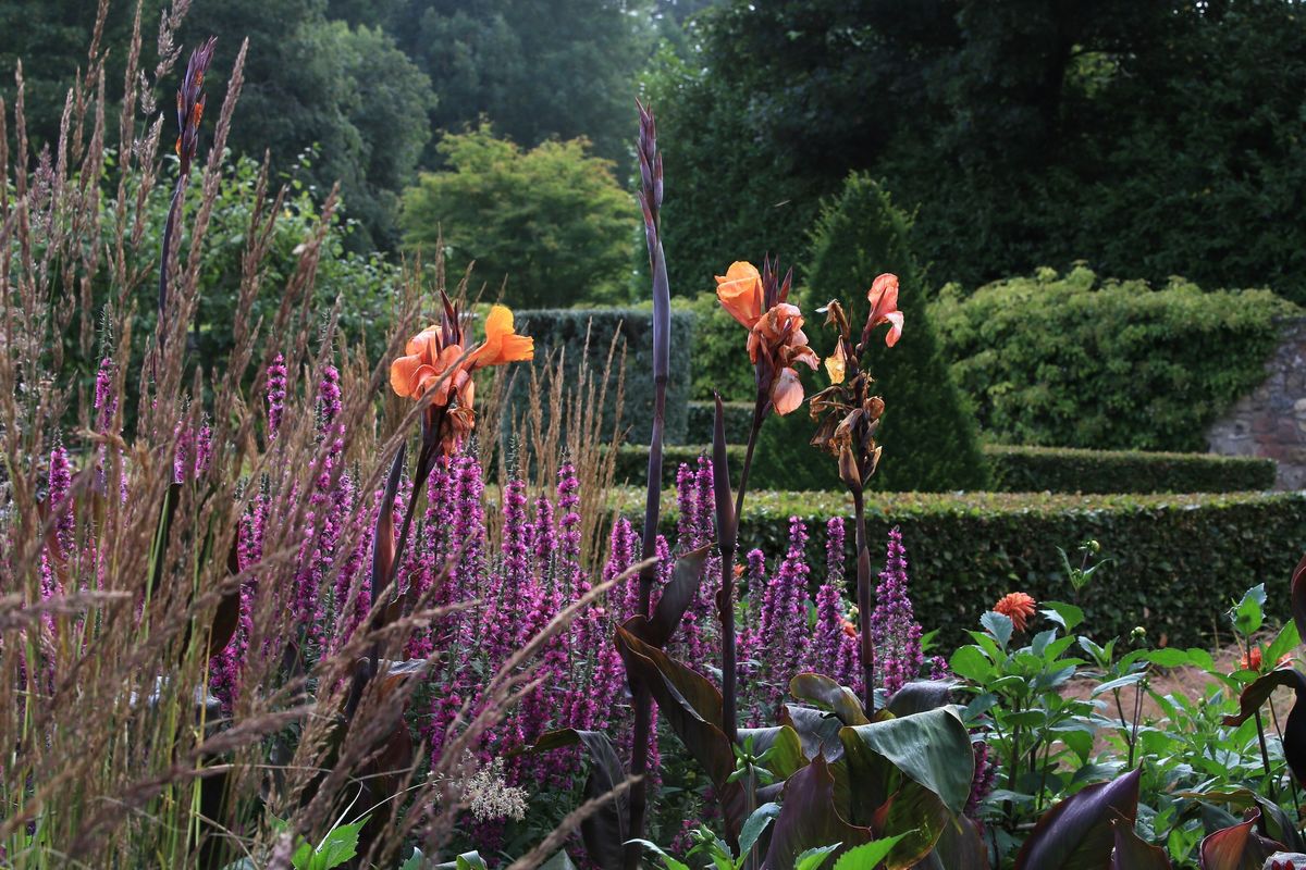 Whitburgh House Walled Garden