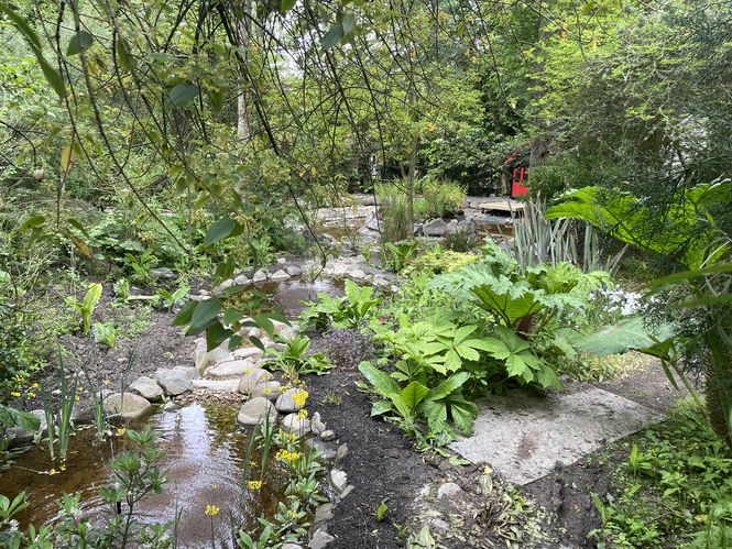Linn Botanic Gardens
